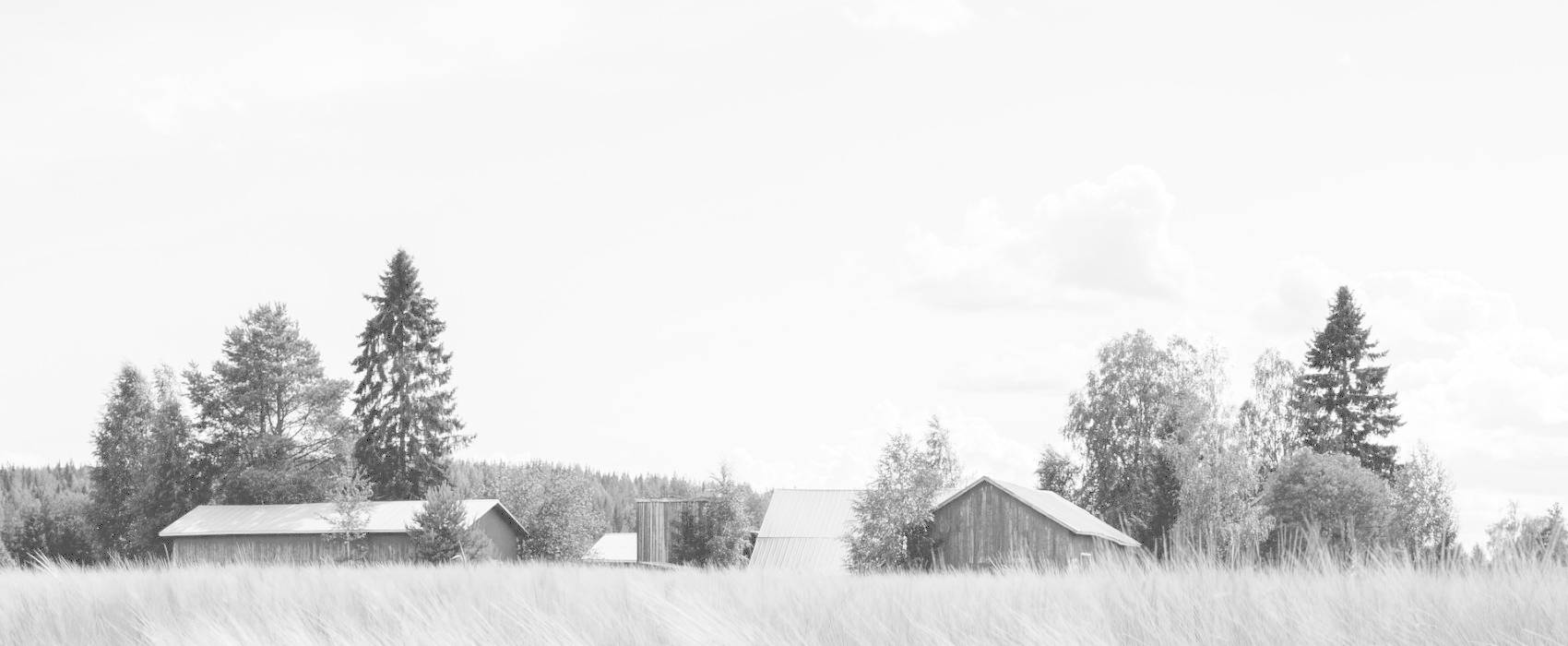 নকশী ডিজাইন ৬